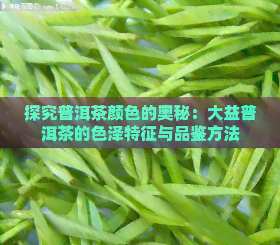 探究普洱茶颜色的奥秘：大益普洱茶的色泽特征与品鉴方法