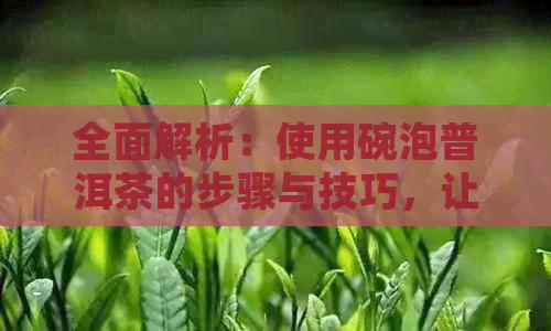 全面解析：使用碗泡普洱茶的步骤与技巧，让你轻松掌握泡茶精髓