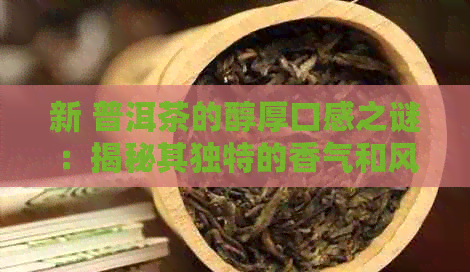 新 普洱茶的醇厚口感之谜：揭秘其独特的香气和风味形成