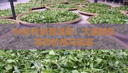 90年代的普洱茶：大益牌生茶的价格与品鉴