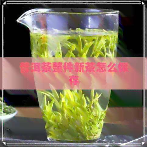 普洱茶整件新茶怎么保存