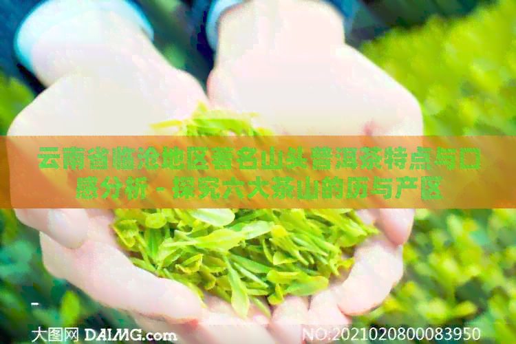 云南省临沧地区著名山头普洱茶特点与口感分析 - 探究六大茶山的历与产区