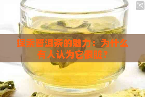 探索普洱茶的魅力：为什么有人认为它很脏？