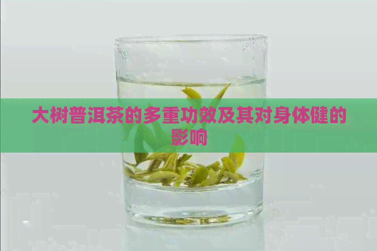 大树普洱茶的多重功效及其对身体健的影响