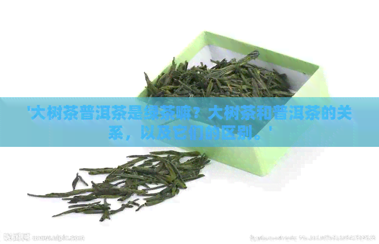 '大树茶普洱茶是绿茶嘛？大树茶和普洱茶的关系，以及它们的区别。'