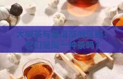 大树茶与普洱茶的区别：它们是同一种茶吗？