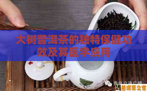 大树普洱茶的独特保健功效及其医学应用