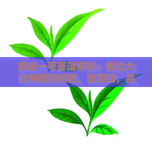 南峤一号普洱茶饼：精选大叶种晒青攒团，醇厚回，品味人生。