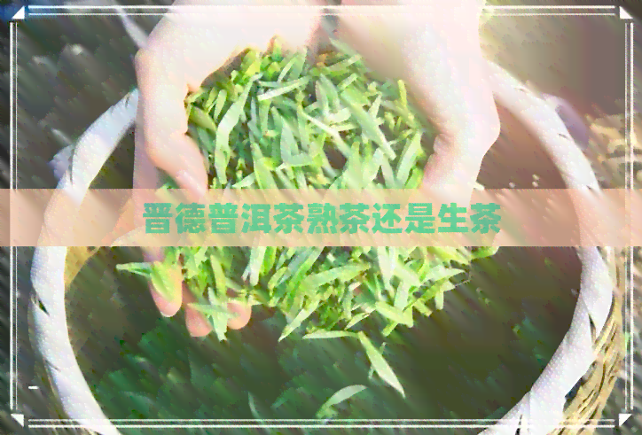 晋德普洱茶熟茶还是生茶