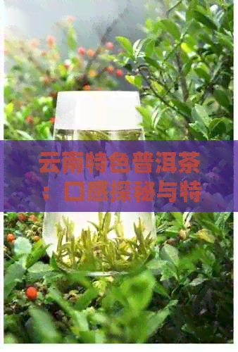 云南特色普洱茶：口感探秘与特别解析