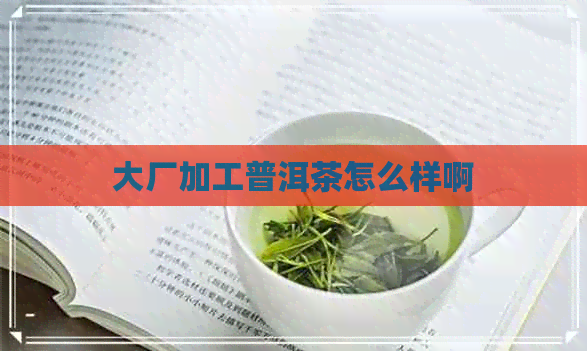 大厂加工普洱茶怎么样啊