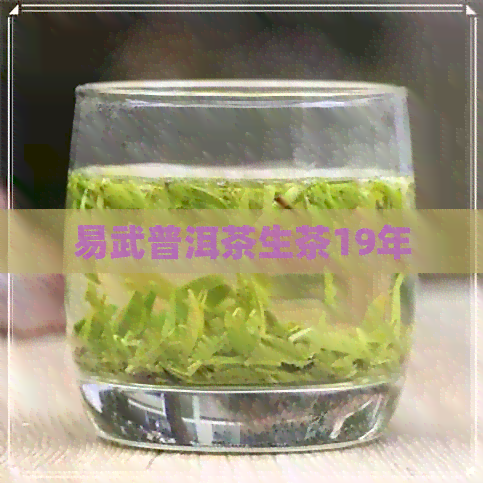 易武普洱茶生茶19年