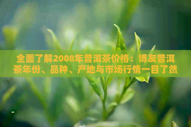 全面了解2008年普洱茶价格：博友普洱茶年份、品种、产地与市场行情一目了然