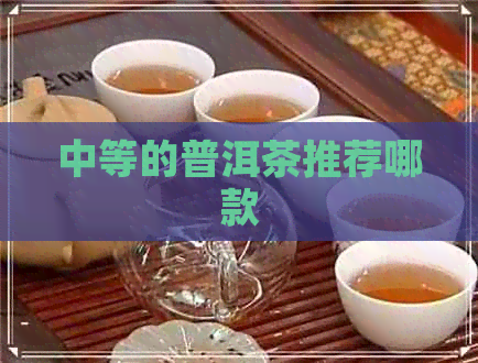 中等的普洱茶推荐哪款