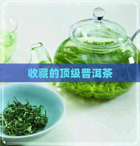 收藏的顶级普洱茶