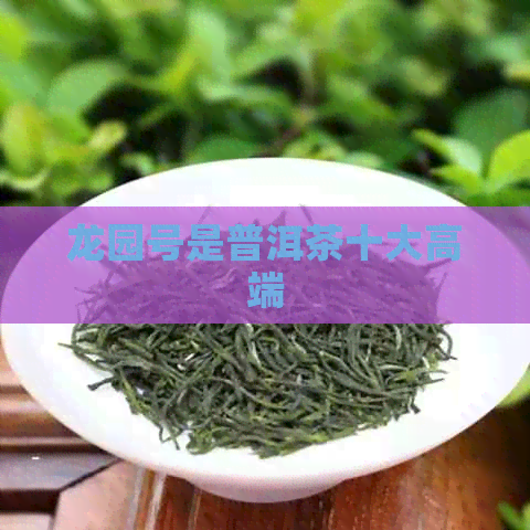 龙园号是普洱茶十大高端