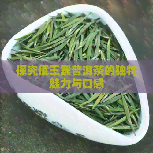 探究佤王寨普洱茶的独特魅力与口感