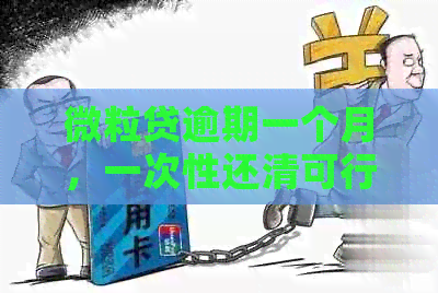 微粒贷逾期一个月，一次性还清可行吗？