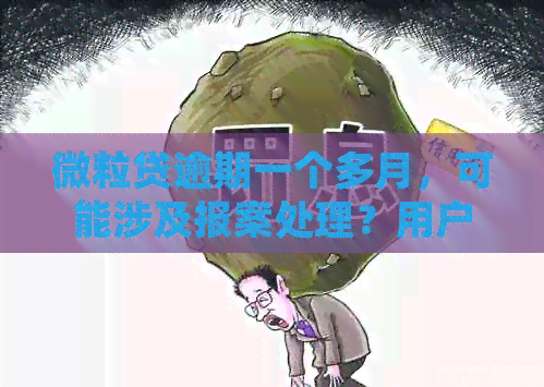 微粒贷逾期一个多月，可能涉及报案处理？用户该如何应对？