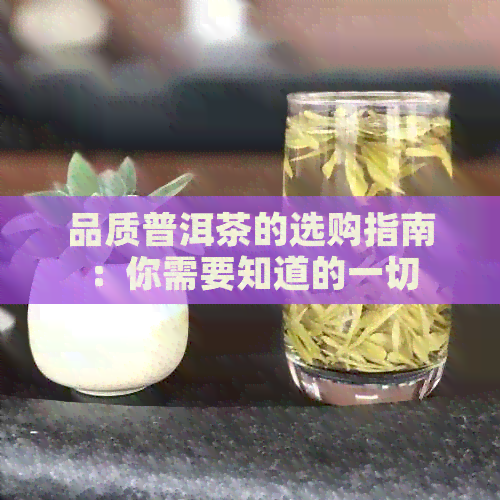 品质普洱茶的选购指南：你需要知道的一切