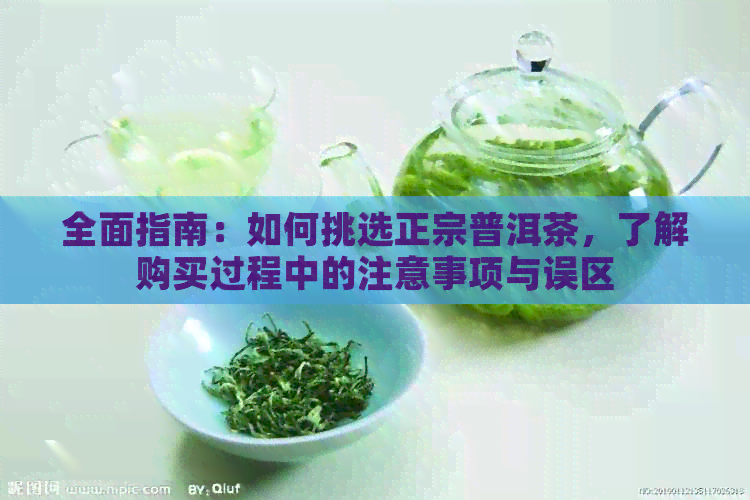 全面指南：如何挑选正宗普洱茶，了解购买过程中的注意事项与误区