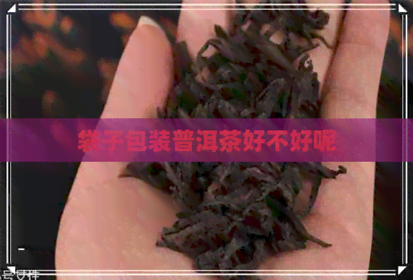 袋子包装普洱茶好不好呢