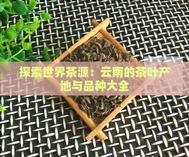 探索世界茶源：云南的茶叶产地与品种大全