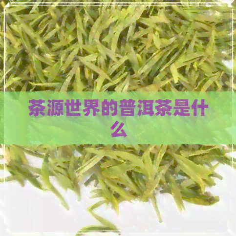 茶源世界的普洱茶是什么