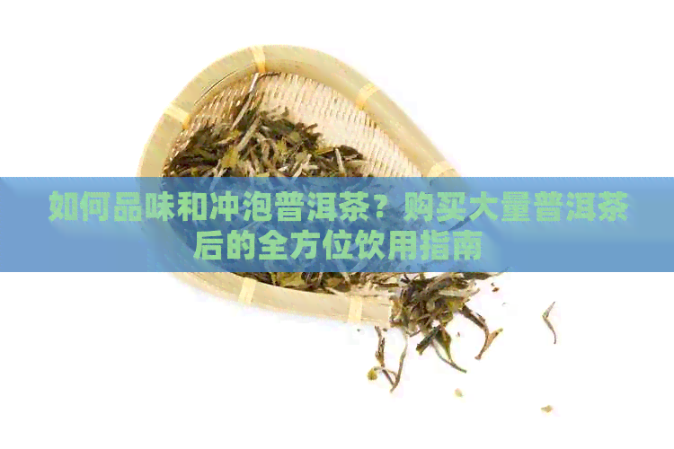 如何品味和冲泡普洱茶？购买大量普洱茶后的全方位饮用指南