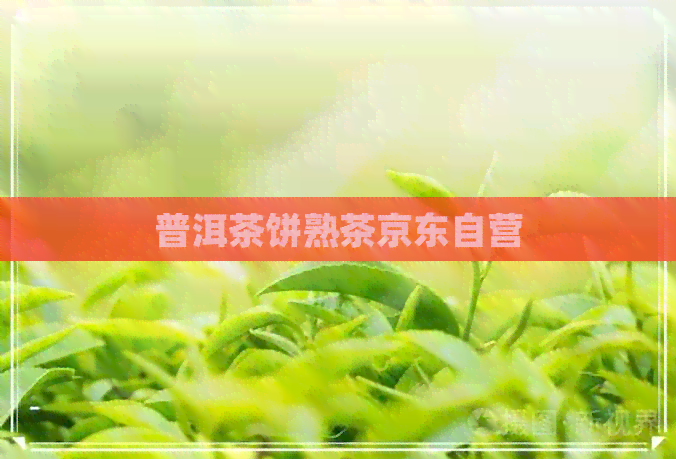 普洱茶饼熟茶京东自营