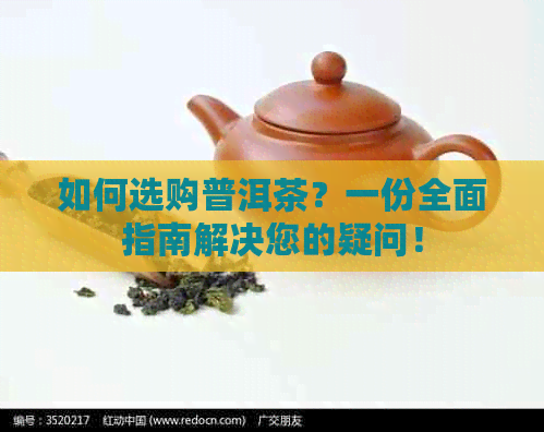 如何选购普洱茶？一份全面指南解决您的疑问！