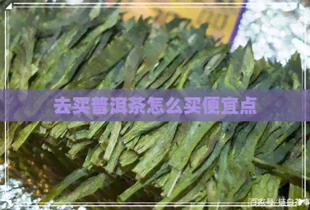 去买普洱茶怎么买便宜点