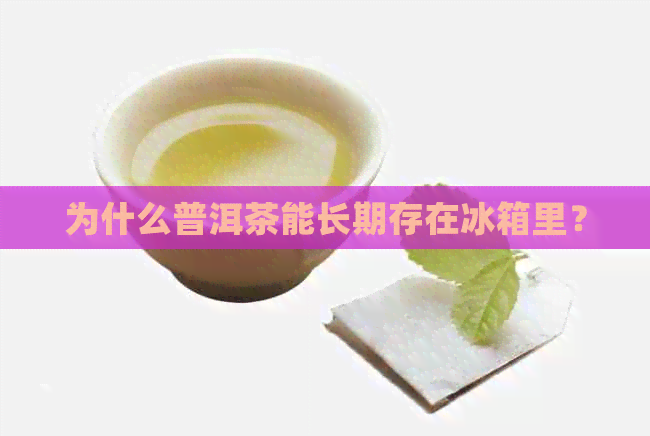 为什么普洱茶能长期存在冰箱里？