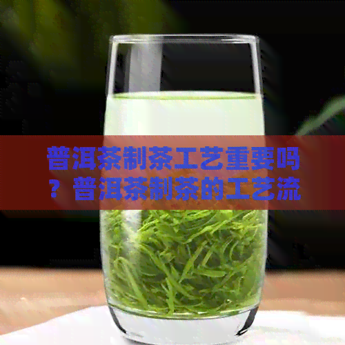 普洱茶制茶工艺重要吗？普洱茶制茶的工艺流程。