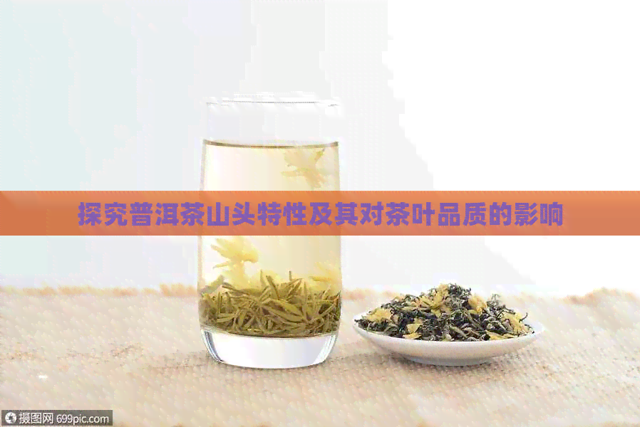 探究普洱茶山头特性及其对茶叶品质的影响