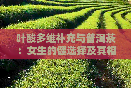 叶酸多维补充与普洱茶：女生的健选择及其相互作用