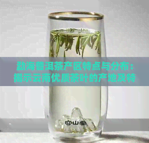 勐海普洱茶产区特点与分布：揭示云南优质茶叶的产地及特色。