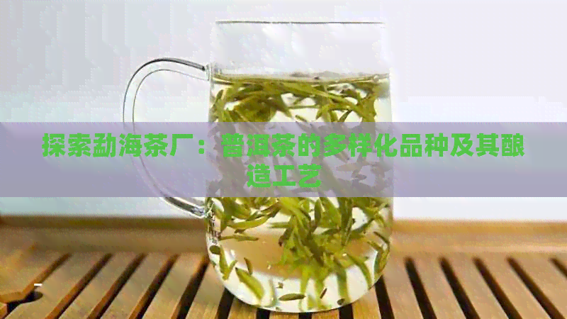 探索勐海茶厂：普洱茶的多样化品种及其酿造工艺