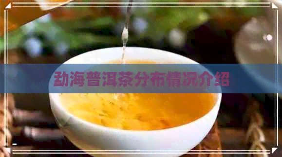 勐海普洱茶分布情况介绍