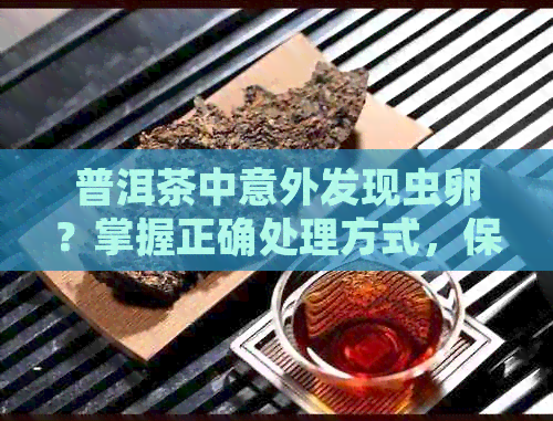 普洱茶中意外发现虫卵？掌握正确处理方式，保障健品质！