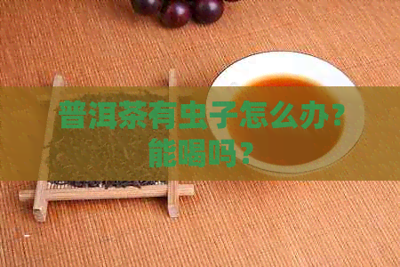 普洱茶有虫子怎么办？能喝吗？