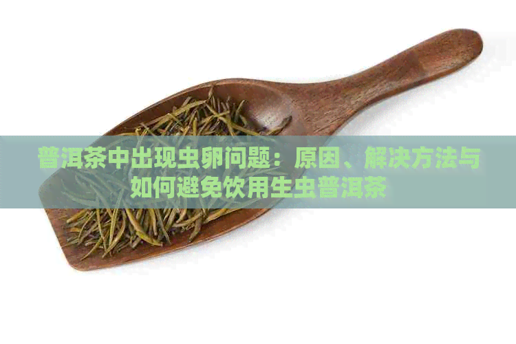 普洱茶中出现虫卵问题：原因、解决方法与如何避免饮用生虫普洱茶