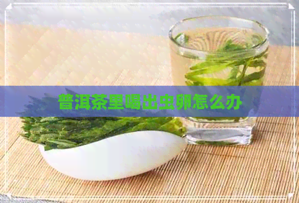 普洱茶里喝出虫卵怎么办