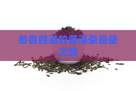 参香四溢的普洱茶品鉴之旅