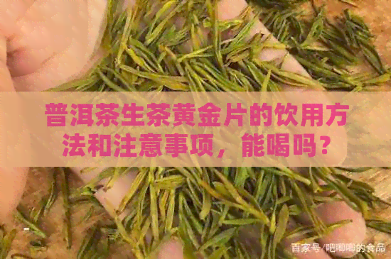 普洱茶生茶黄金片的饮用方法和注意事项，能喝吗？