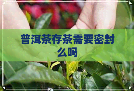 普洱茶存茶需要密封么吗