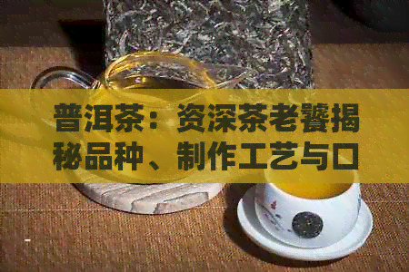 普洱茶：资深茶老饕揭秘品种、制作工艺与口感的全方位解析