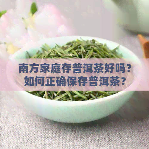 南方家庭存普洱茶好吗？如何正确保存普洱茶？