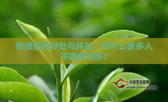 普洱茶的好处与坏处：为什么很多人不喝普洱茶？