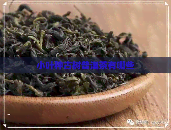 小叶种古树普洱茶有哪些